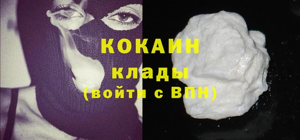 гидра Магас