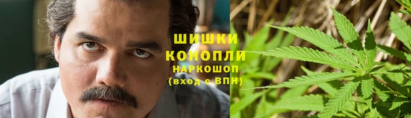 гидра Магас