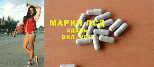 гидра Магас