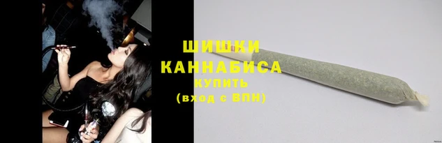 гидра Магас