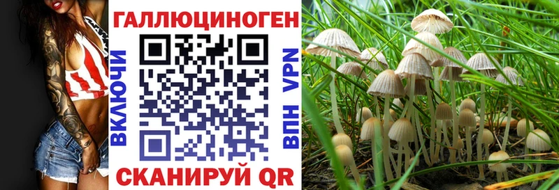 Галлюциногенные грибы ЛСД Нальчик